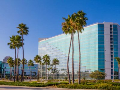 Office building with palm trees
